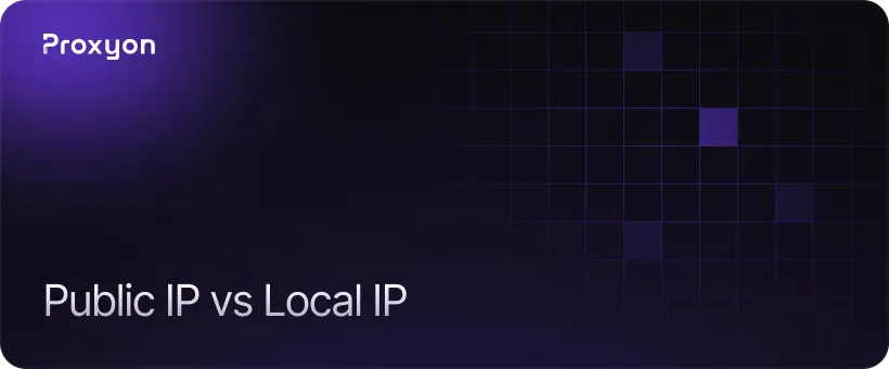 Public IP vs Local IP